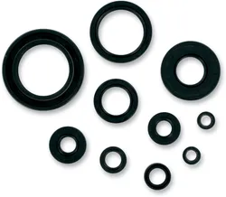 Moose Engine Oil Seal Kit
