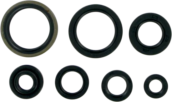 Moose Engine Oil Seal Kit