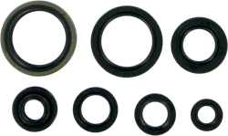 Moose Engine Oil Seal Kit