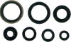 Moose Engine Oil Seal Kit