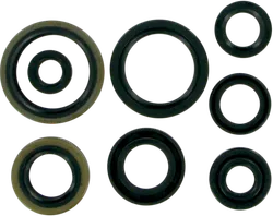 Moose Engine Oil Seal Kit