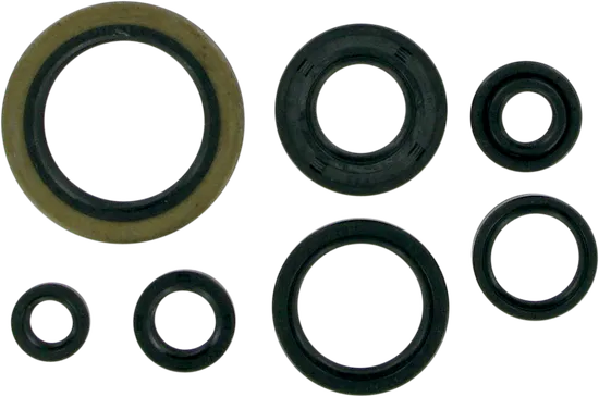Moose Engine Oil Seal Kit