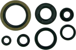 Moose Engine Oil Seal Kit