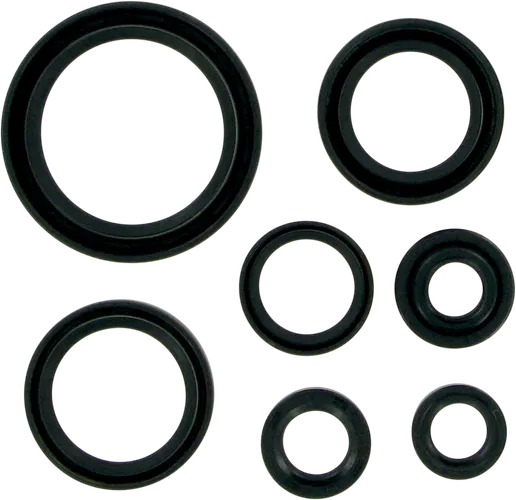 Moose Engine Oil Seal Kit