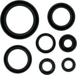 Moose Engine Oil Seal Kit