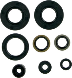 Moose Engine Oil Seal Kit