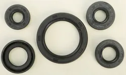 Vertex Oil Seal Kit