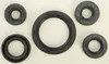 Vertex Oil Seal Kit