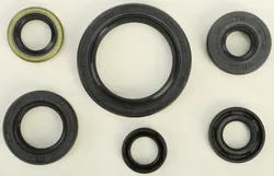 Vertex Oil Seal Kit