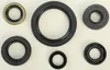 Vertex Oil Seal Kit
