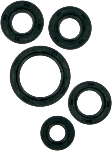 Moose Engine Oil Seal Kit