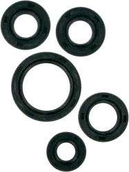 Moose Engine Oil Seal Kit