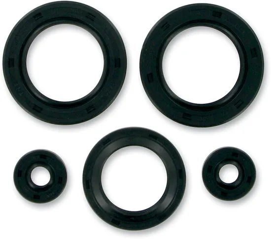 Moose Engine Oil Seal Kit