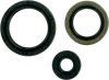 Moose Engine Oil Seal Kit