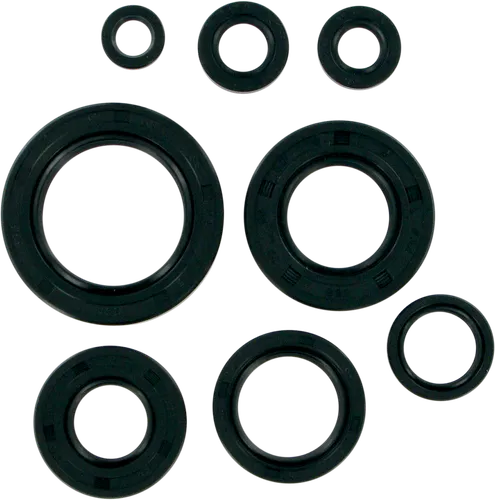 Moose Engine Oil Seal Kit