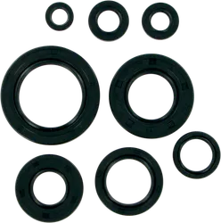 Moose Engine Oil Seal Kit