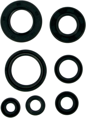 Moose Engine Oil Seal Kit