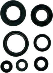 Moose Engine Oil Seal Kit