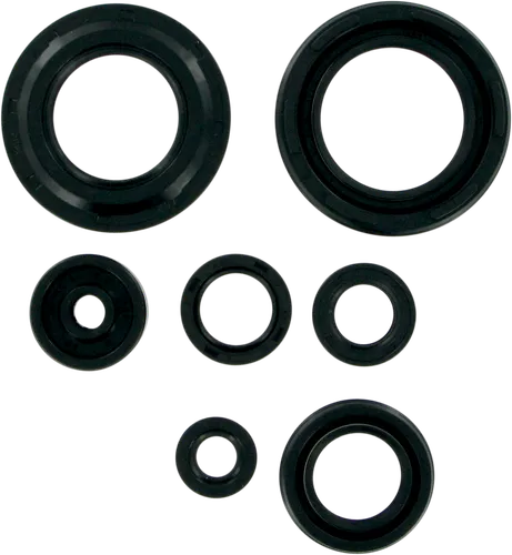 Moose Engine Oil Seal Kit