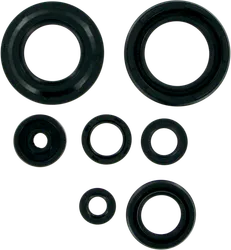 Moose Engine Oil Seal Kit