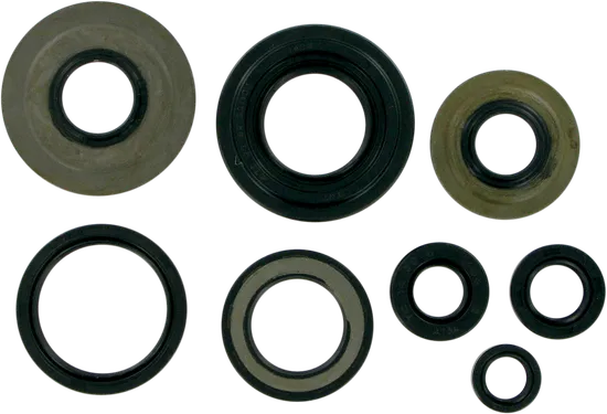 Moose Engine Oil Seal Kit