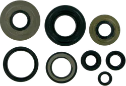 Moose Engine Oil Seal Kit