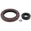 Vertex Oil Seal Kit