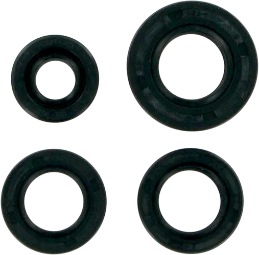 Moose Engine Oil Seal Kit