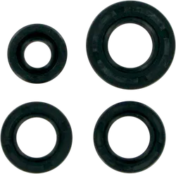 Moose Engine Oil Seal Kit