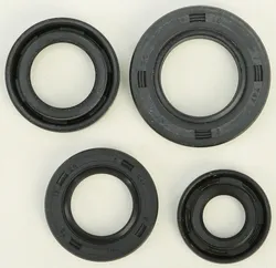 Vertex Oil Seal Kit