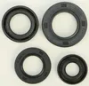 Vertex Oil Seal Kit