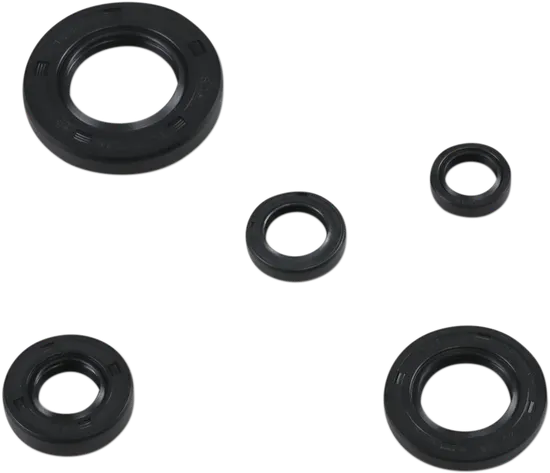 Moose Engine Oil Seal Kit