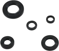 Moose Engine Oil Seal Kit