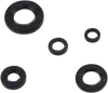 Moose Engine Oil Seal Kit
