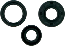 Moose Engine Oil Seal Kit