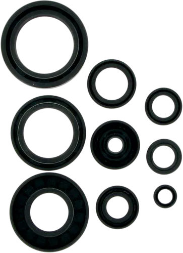 Moose Engine Oil Seal Kit