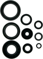 Moose Engine Oil Seal Kit