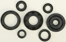 Vertex Oil Seal Kit