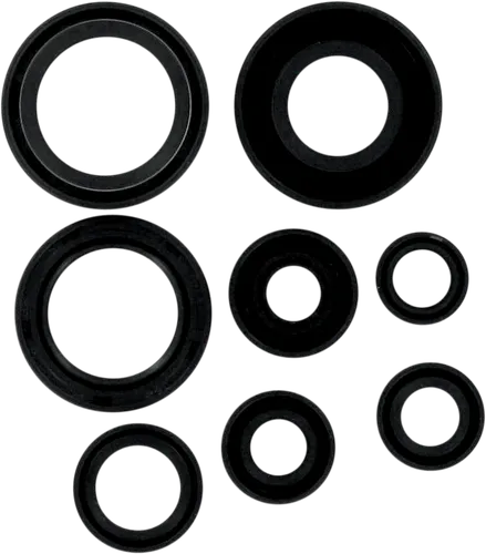 Moose Engine Oil Seal Kit