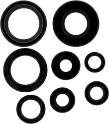 Moose Engine Oil Seal Kit