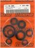 Moose Engine Oil Seal Kit