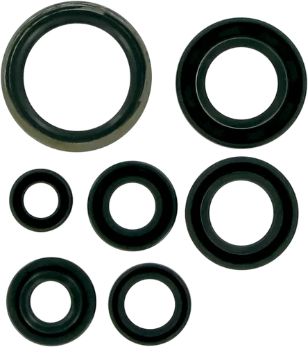 Moose Engine Oil Seal Kit