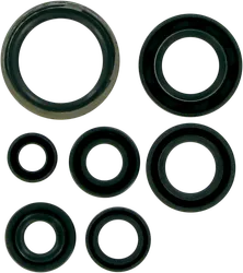 Moose Engine Oil Seal Kit