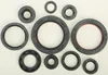 Vertex Oil Seal Kit