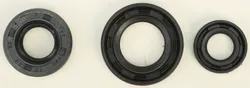 Vertex Oil Seal Kit