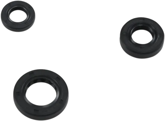 Moose Engine Oil Seal Kit