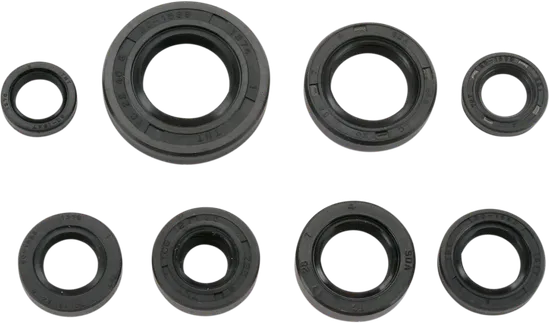 Moose Engine Oil Seal Kit