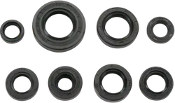 Moose Engine Oil Seal Kit