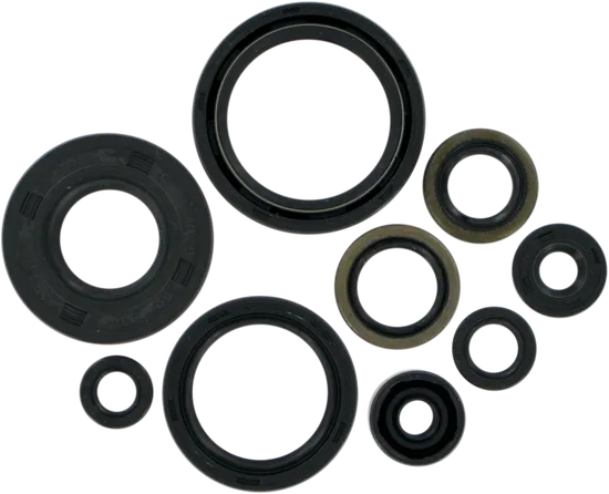 Moose Engine Oil Seal Kit