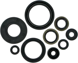 Moose Engine Oil Seal Kit